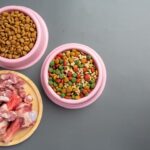 The Benefits of Raw Food Diets for Dogs