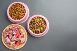 The Benefits of Raw Food Diets for Dogs